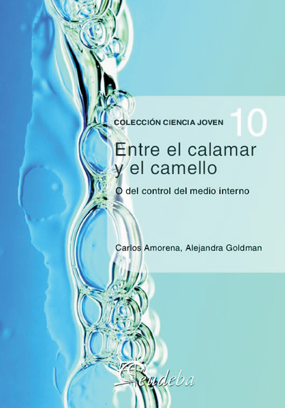Entre el calamar y el camello