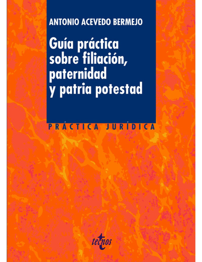 Guía práctica sobre filiación, paternidad y patria potestad
