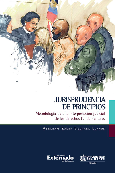 Jurisprudencia de principios: metodología para la interpretación judicial de los derechos fundamentales