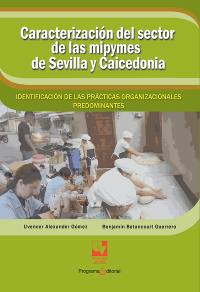 Caracterización del sector de las mipymes de Sevilla y Caicedonia: identificación de las prácticas organizacionales predominantes