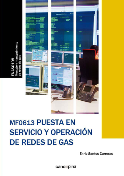Puesta en servicio y operación de redes de gas (MF0613)