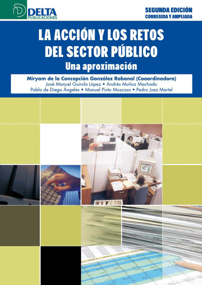 La acción y los retos del sector público: una aproximación