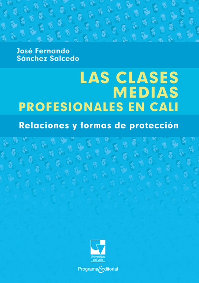 Las clases medias profesionales en Cali: relaciones y formas de protección