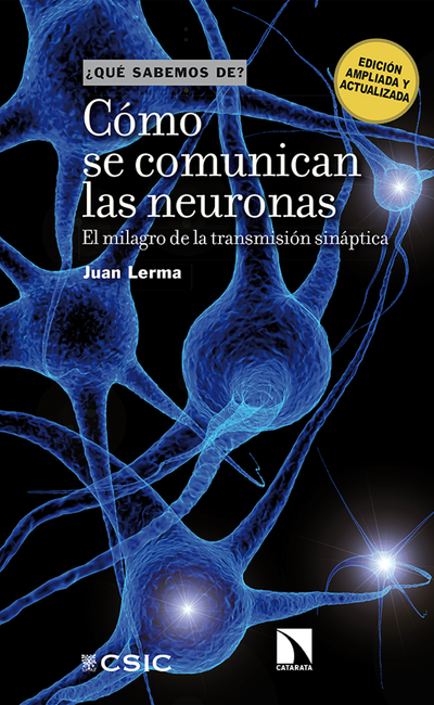 Cómo se comunican las neuronas: el milagro de la transmisión sináptica