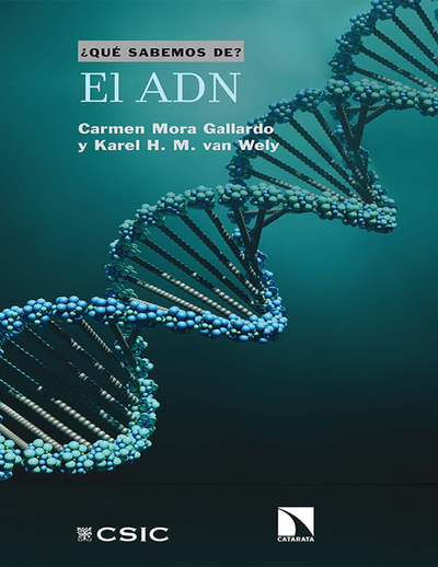 El ADN