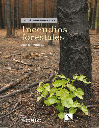 Incendios forestales: una visión desde la ecología