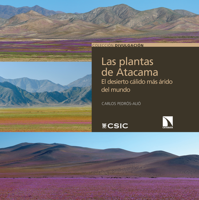 Las plantas de Atacama: el desierto cálido más árido del mundo