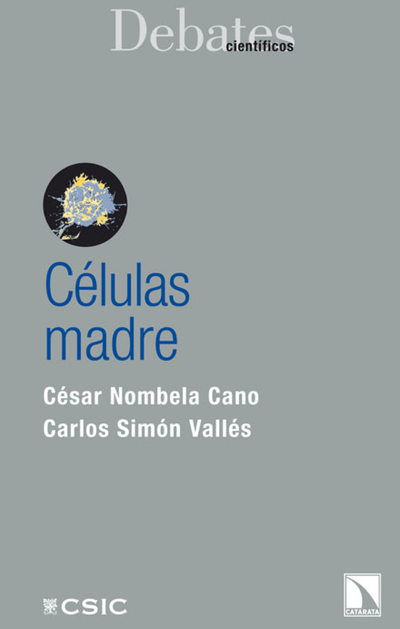 Células madre