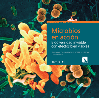 Microbios en acción: biodiversidad invisible con efectos bien visibles