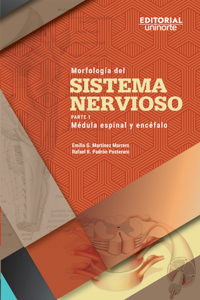 Morfología del sistema nervioso. Parte 1: médula espinal y encéfalo