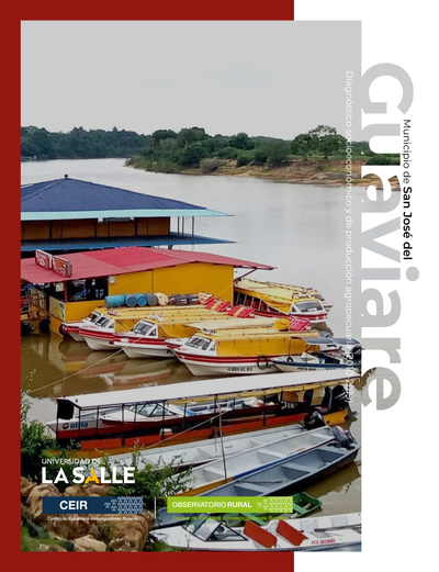 Municipio de San José del Guaviare (Guaviare): diagnóstico socioeconómico y de producción agropecuaria (2010-2019)
