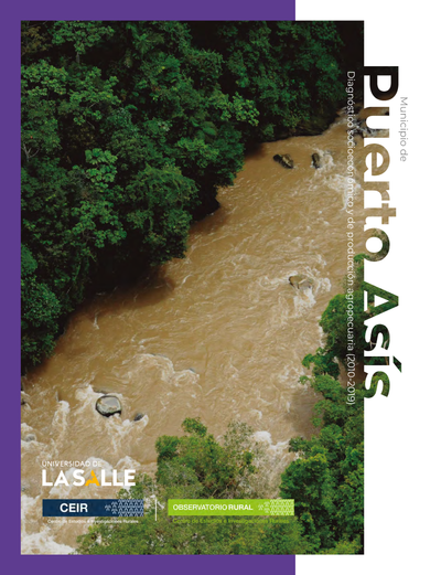 Municipio de Puerto Asís (Putumayo): diagnóstico socioeconómico y de producción agropecuaria (2010-2019)