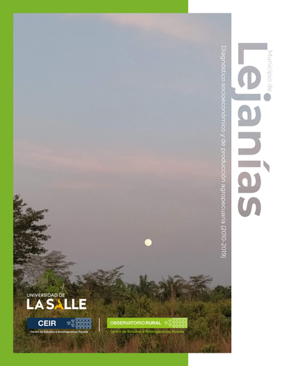 Municipio de Lejanías (Meta): diagnóstico socioeconómico y de producción agropecuaria (2010-2019)
