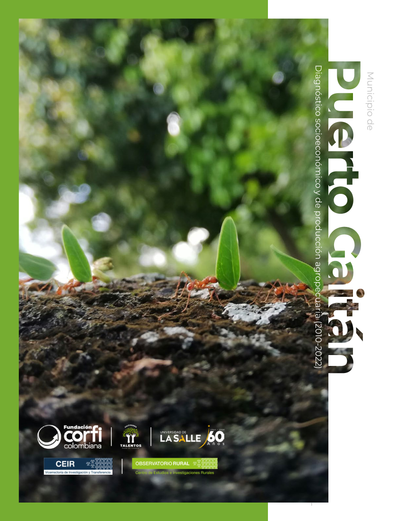 Municipio de Puerto Gaitán (Meta): diagnóstico socioeconómico y de producción agropecuaria (2010-2022)