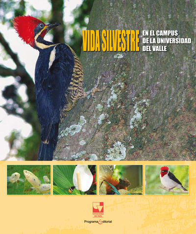Vida silvestre en el campus de la Universidad del Valle