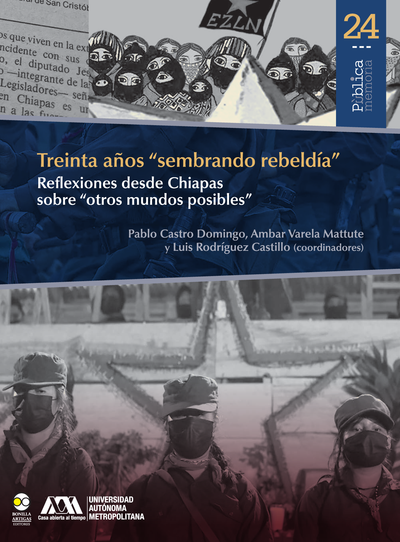 Treinta años ''sembrando rebeldía'': reflexiones desde Chiapas sobre ''otros mundos posibles''