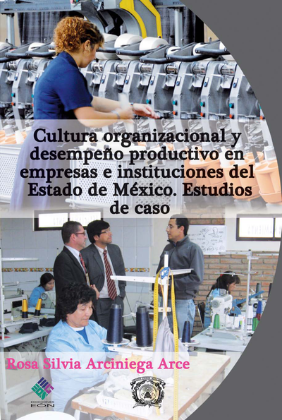 Cultura organizacional y desempeño productivo en empresas e instituciones del Estado de México: estudios de caso