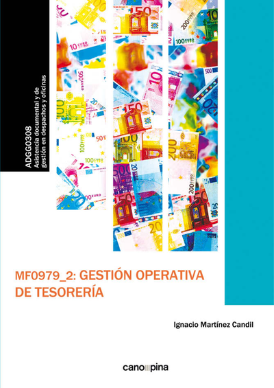 MF0979_2: Gestión operativa de tesorería