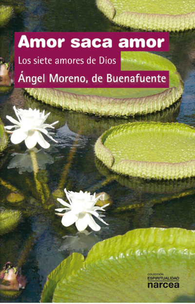 Amor saca amor: los siete amores de Dios