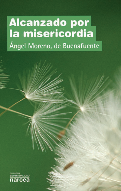 Alcanzado por la misericordia