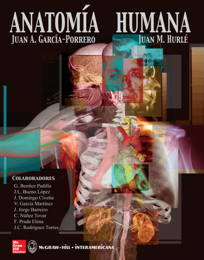 Anatomía humana