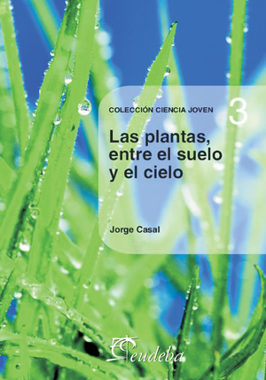 Las plantas, entre el suelo y el cielo