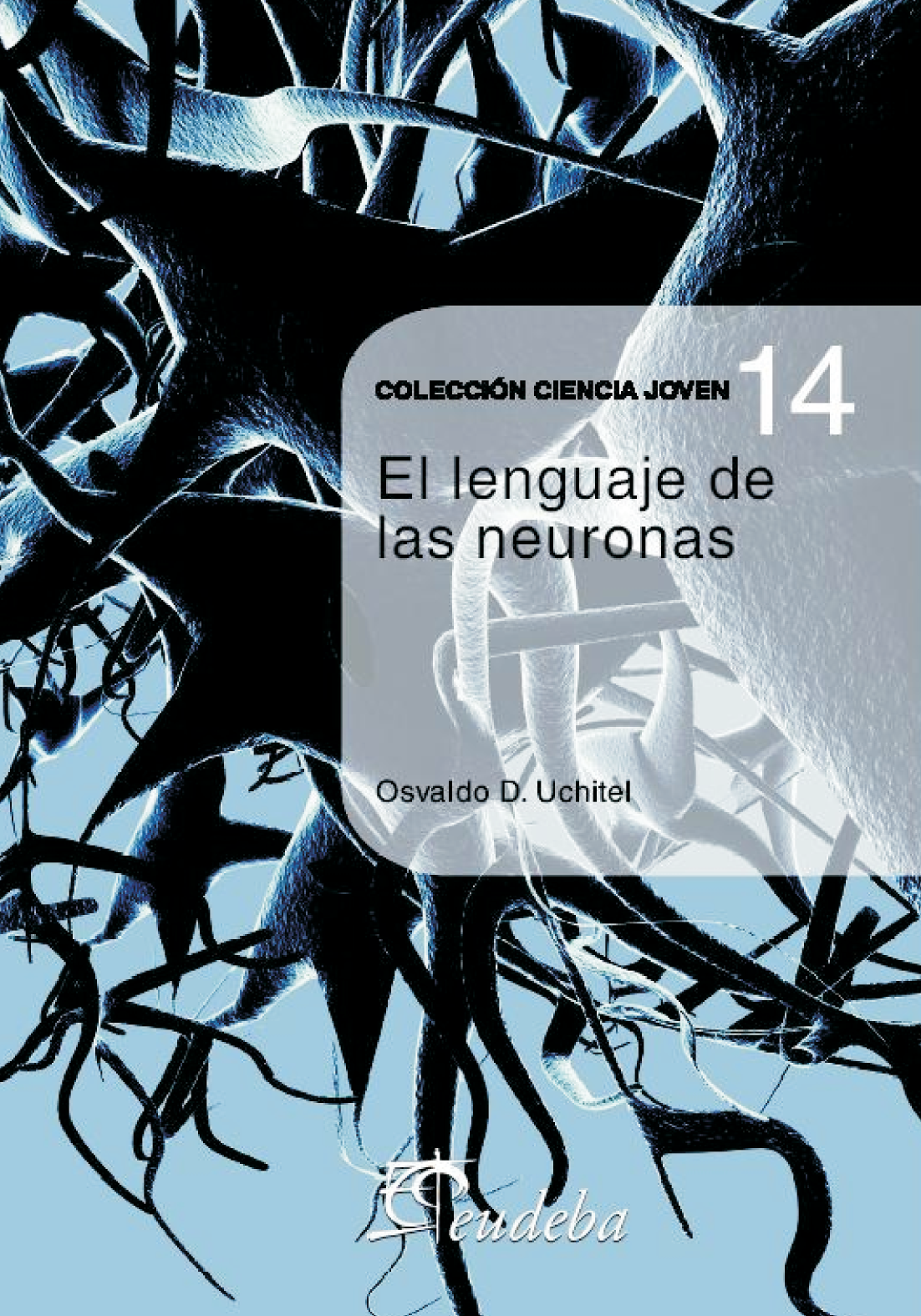 El lenguaje de las neuronas
