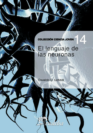 El lenguaje de las neuronas