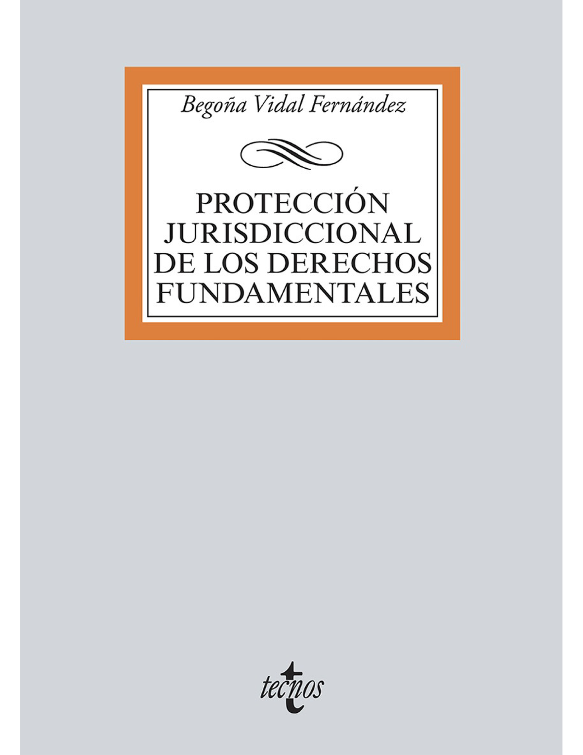 Protección jurisdiccional de los derechos fundamentales