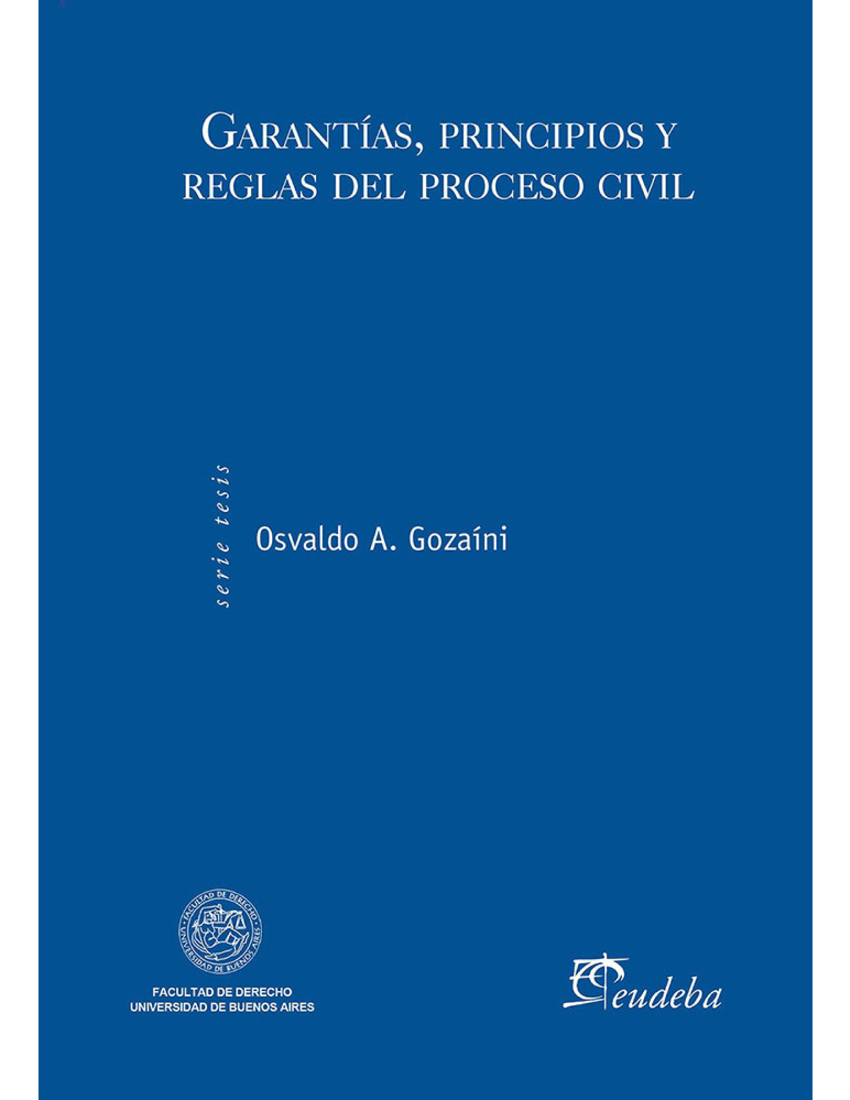 Garantías, principios y reglas del proceso civil