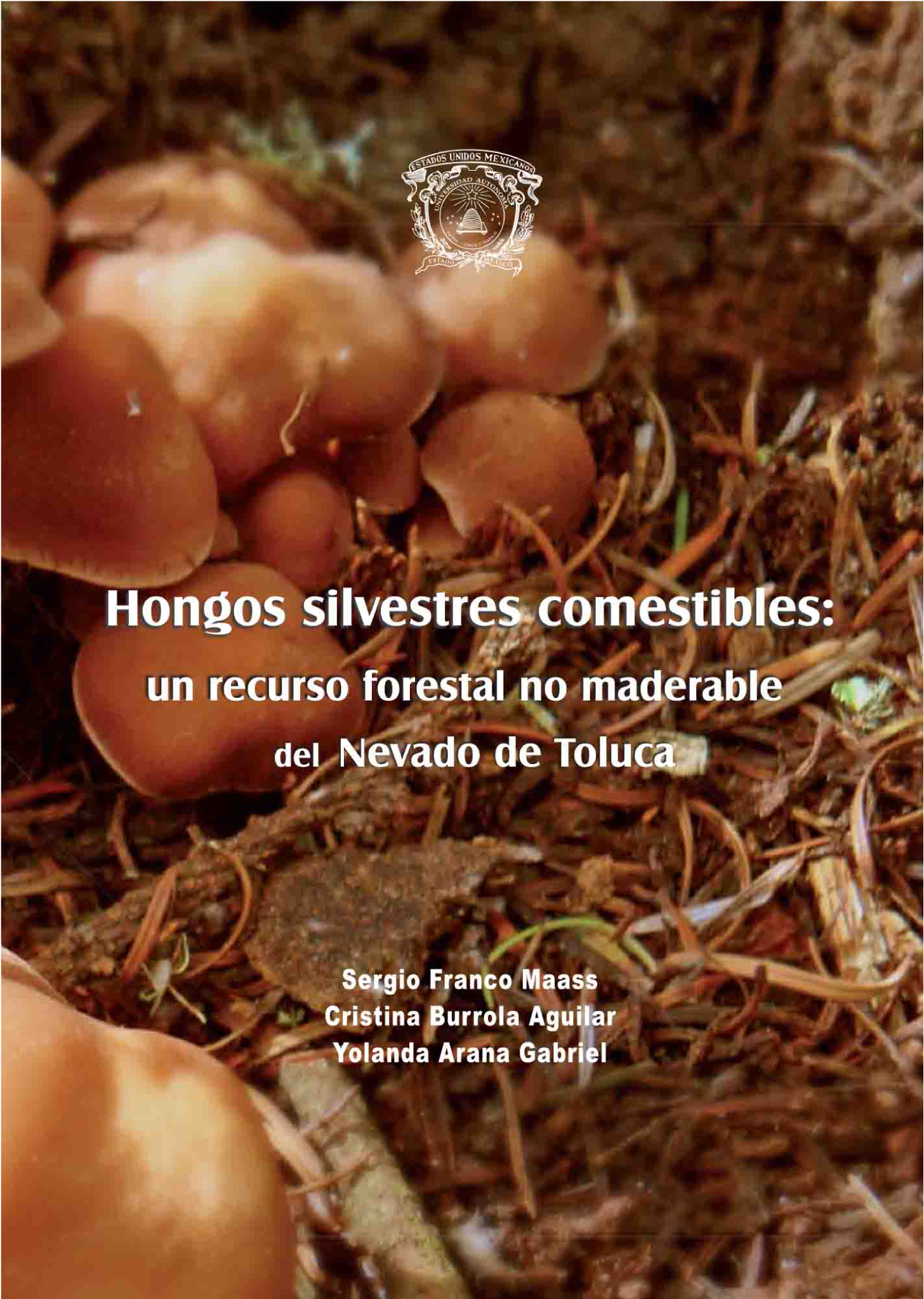 Hongos silvestres comestibles: un recurso forestal no maderable del Nevado de Toluca