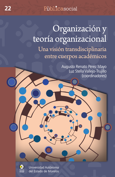 Organización y teoría organizacional: una visión transdisciplinaria entre cuerpos académicos
