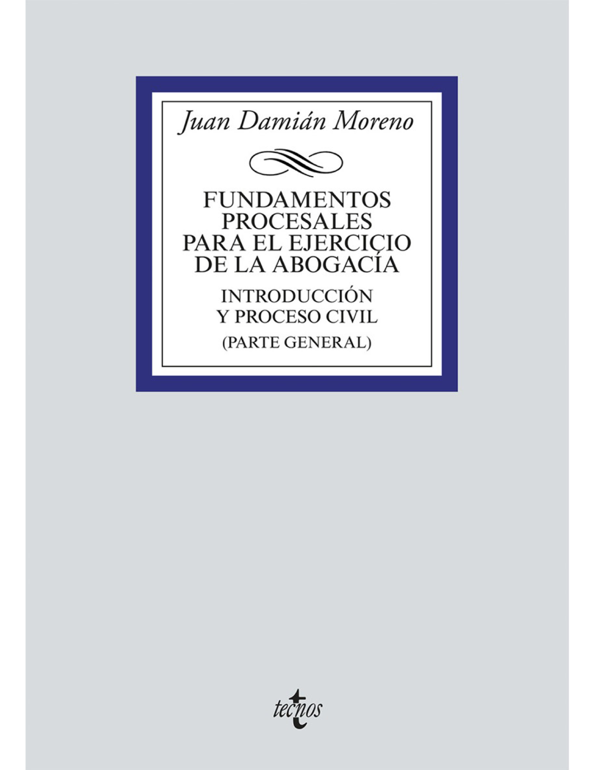 Fundamentos procesales para el ejercicio de la abogacía: introducción y proceso civil