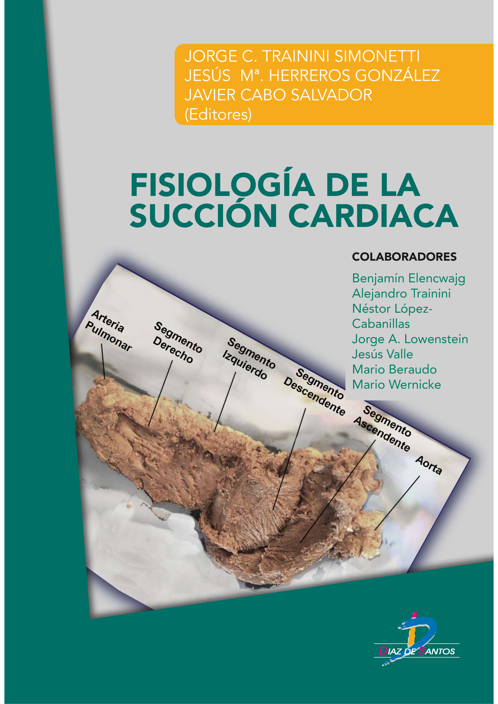 Fisiología de la succión cardíaca