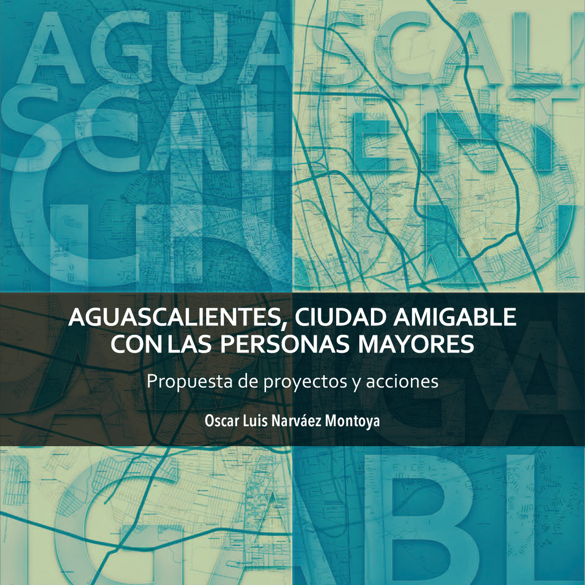 Aguascalientes, ciudad amigable con las personas mayores: propuesta de proyectos y acciones