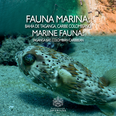 Fauna marina: bahía Taganga, Caribe colombiano = marine fauna: Taganga bay, colombian Caribbean