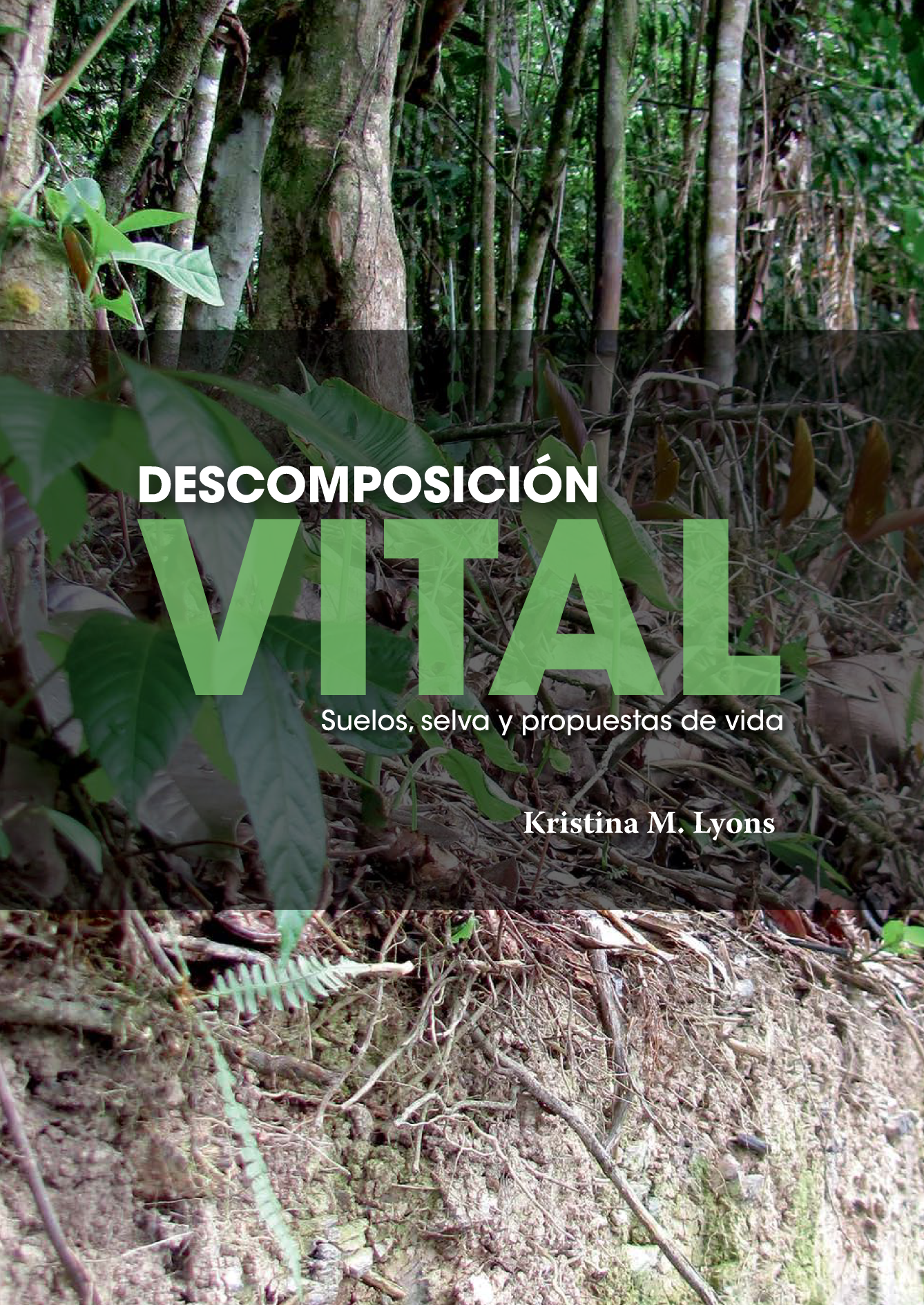 Descomposición vital: suelos, selva y propuestas de vida