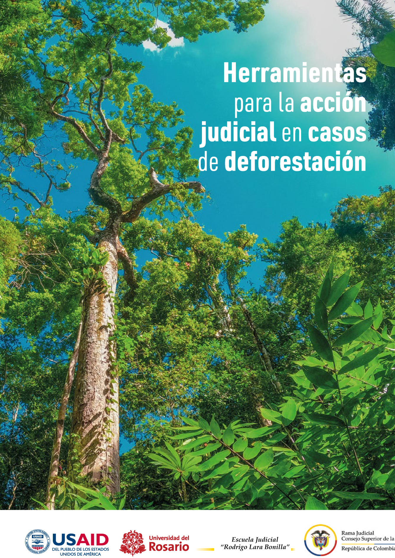 Herramientas para la acción judicial en casos de deforestación