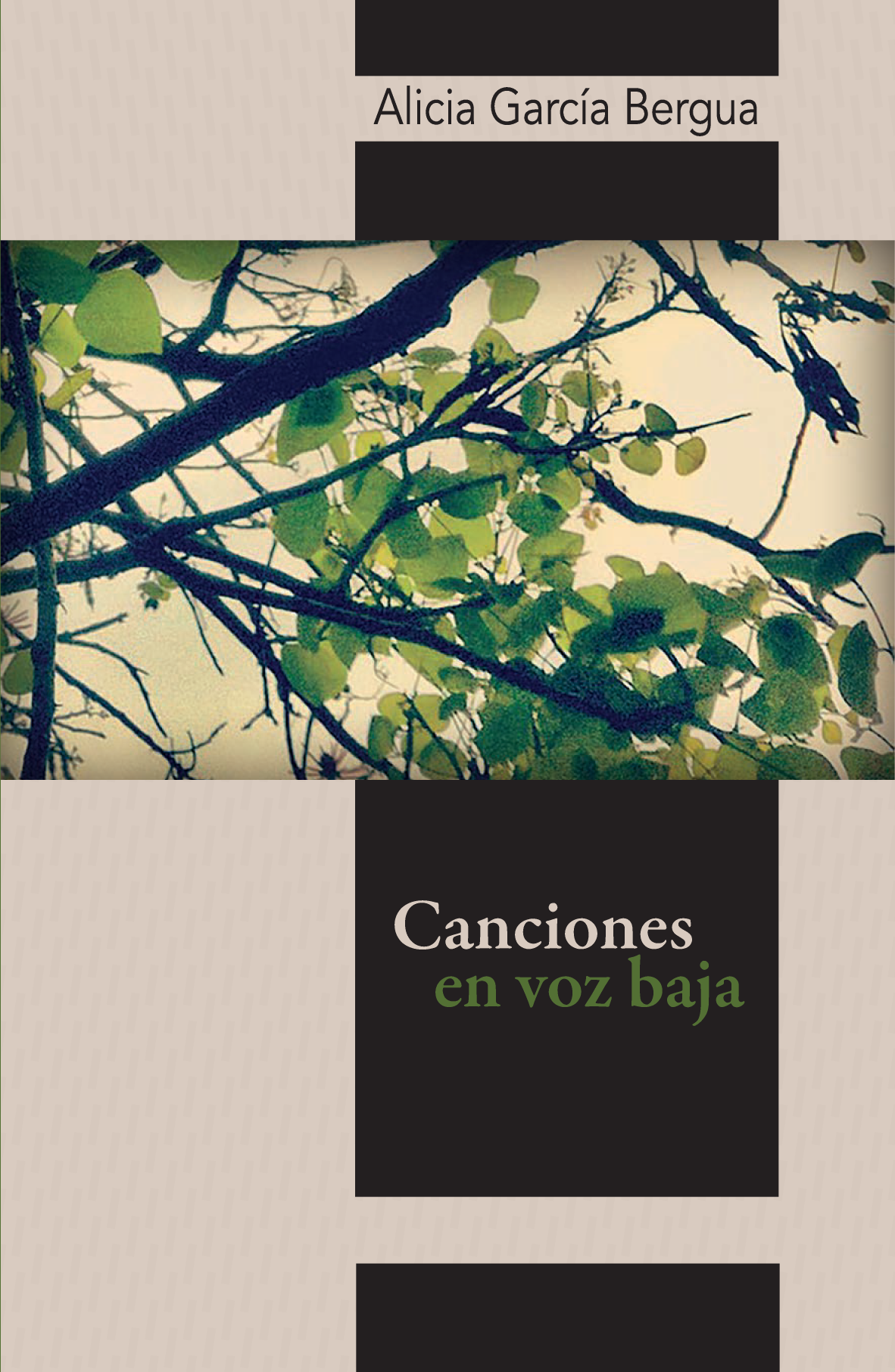 Canciones en voz baja