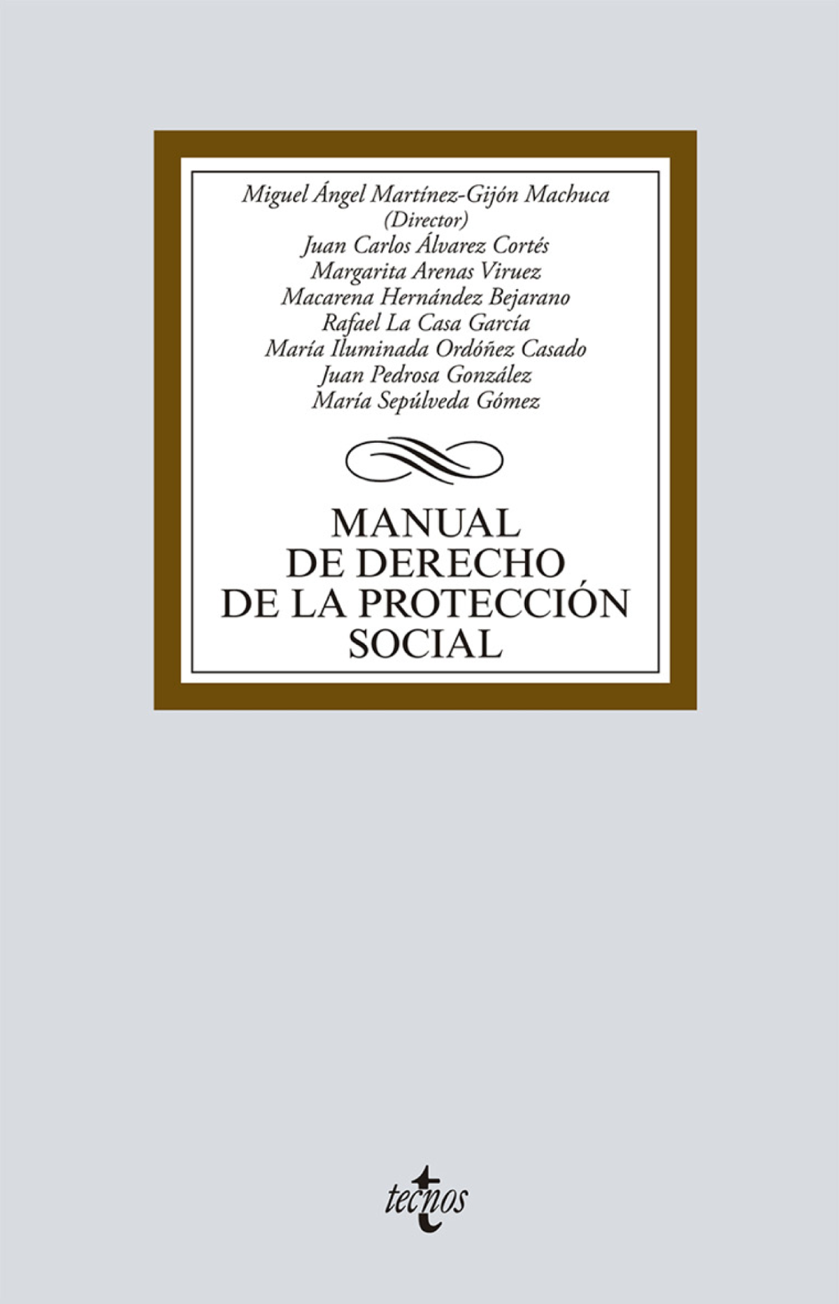 Manual de derecho de la protección social