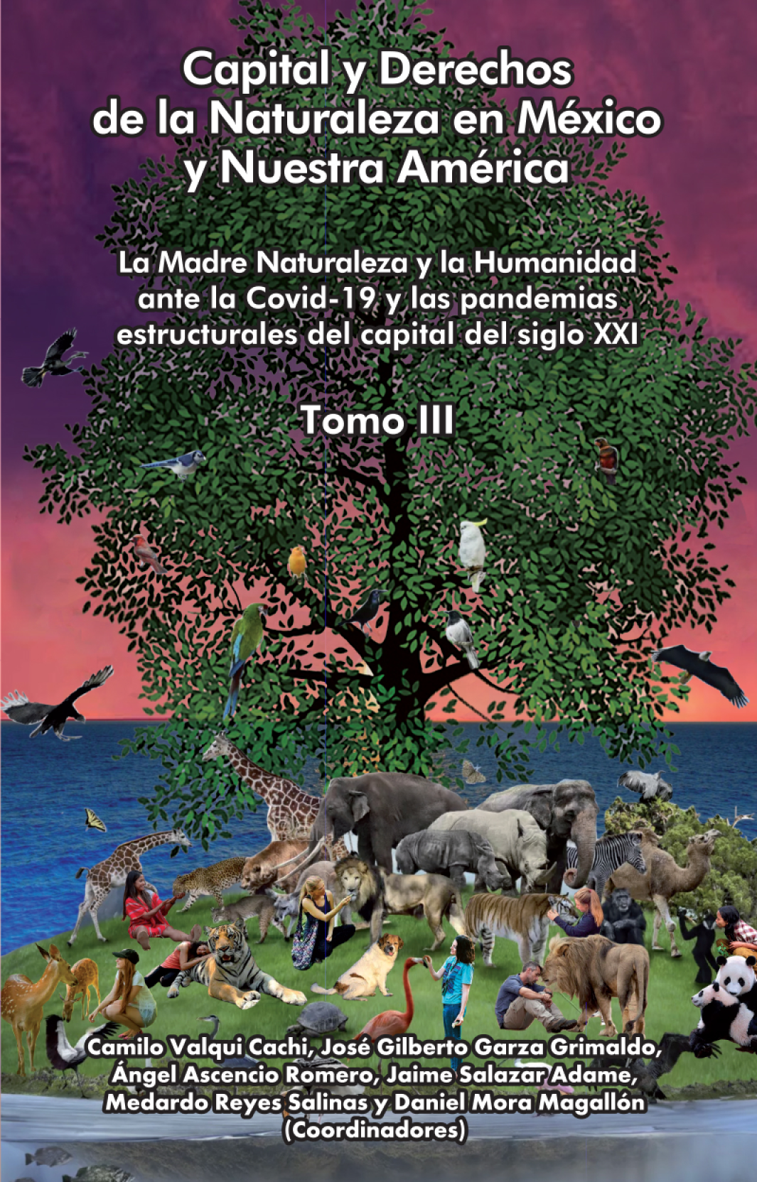 Capital y Derechos de la naturaleza en México y Nuestra América: la madre naturaleza y la humanidad ante la Covid-19 y las pandemias estructurales del capital del siglo XXI. Tomo III