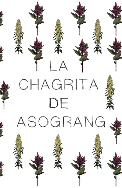 La Chagrita de ASOGRANG: experiencias de una huerta urbana en Bogotá