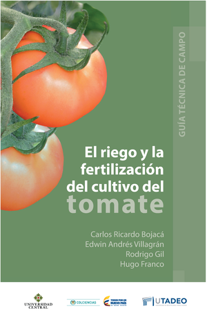 El riego y la fertilización del cultivo del tomate: guía técnica de campo