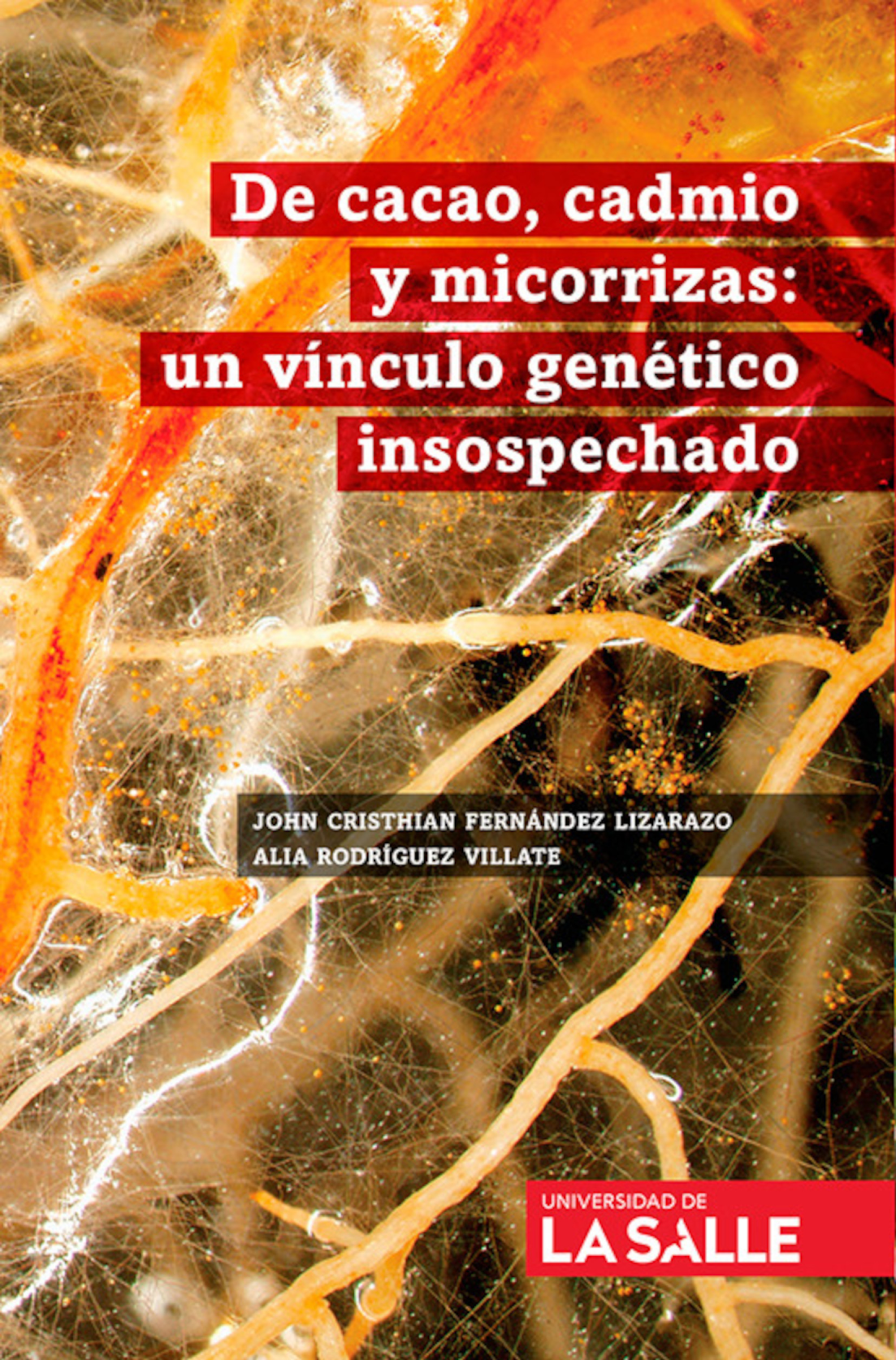 De cacao, cadmio y micorrizas: un vínculo genético insospechado