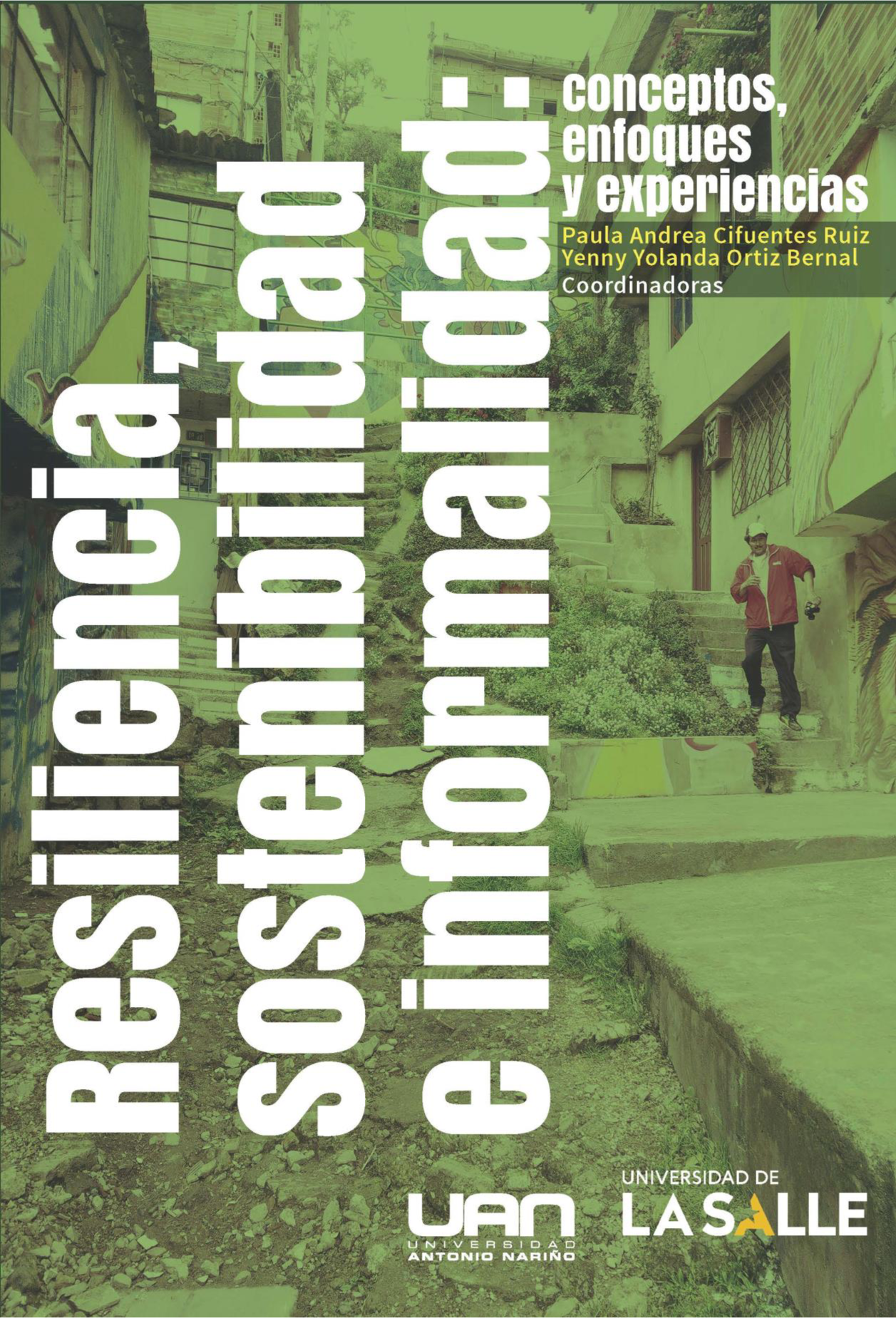 Resiliencia, sostenibilidad e informalidad. Conceptos, enfoques y experiencias