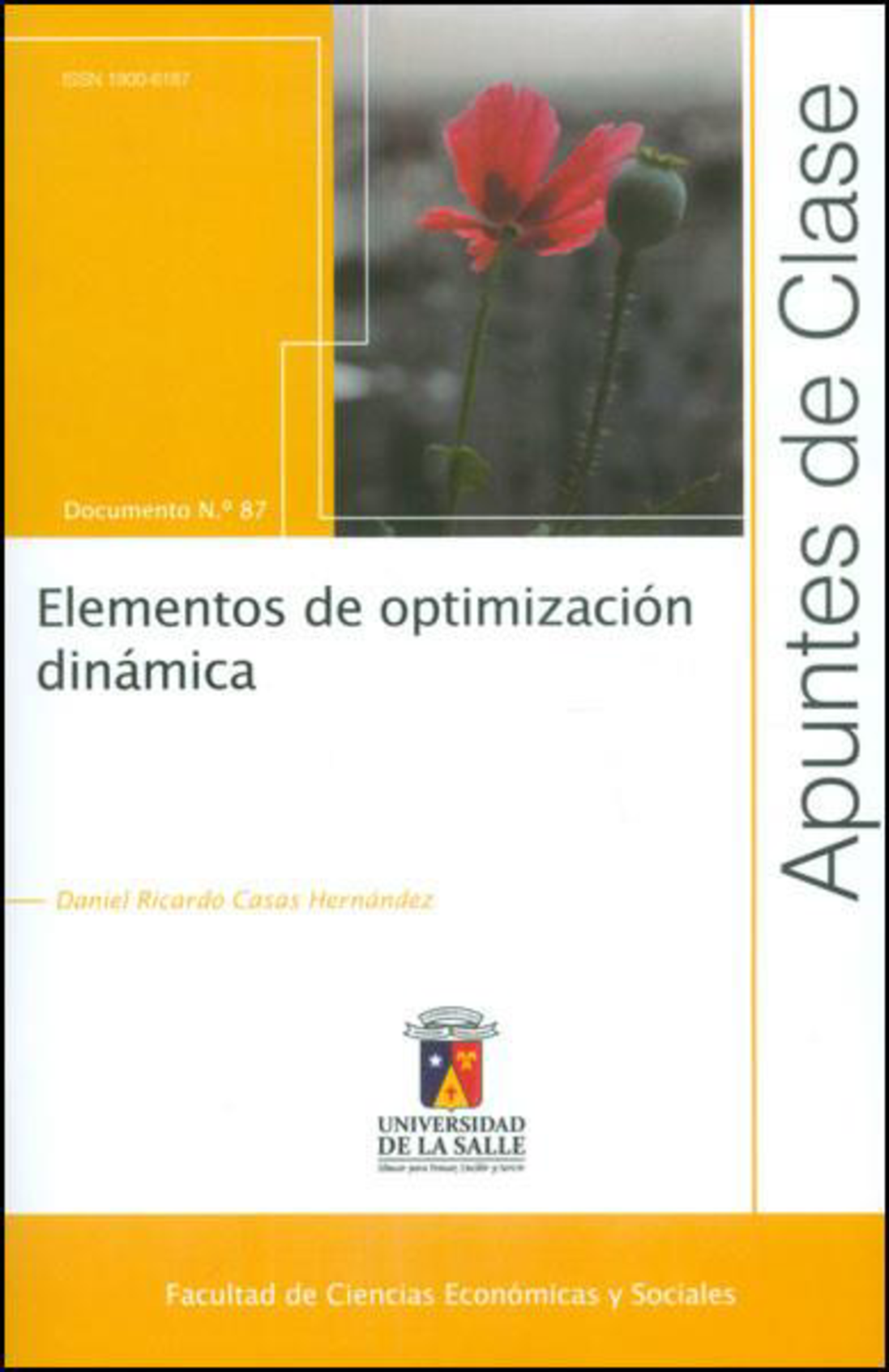 Elementos de optimización dinámica