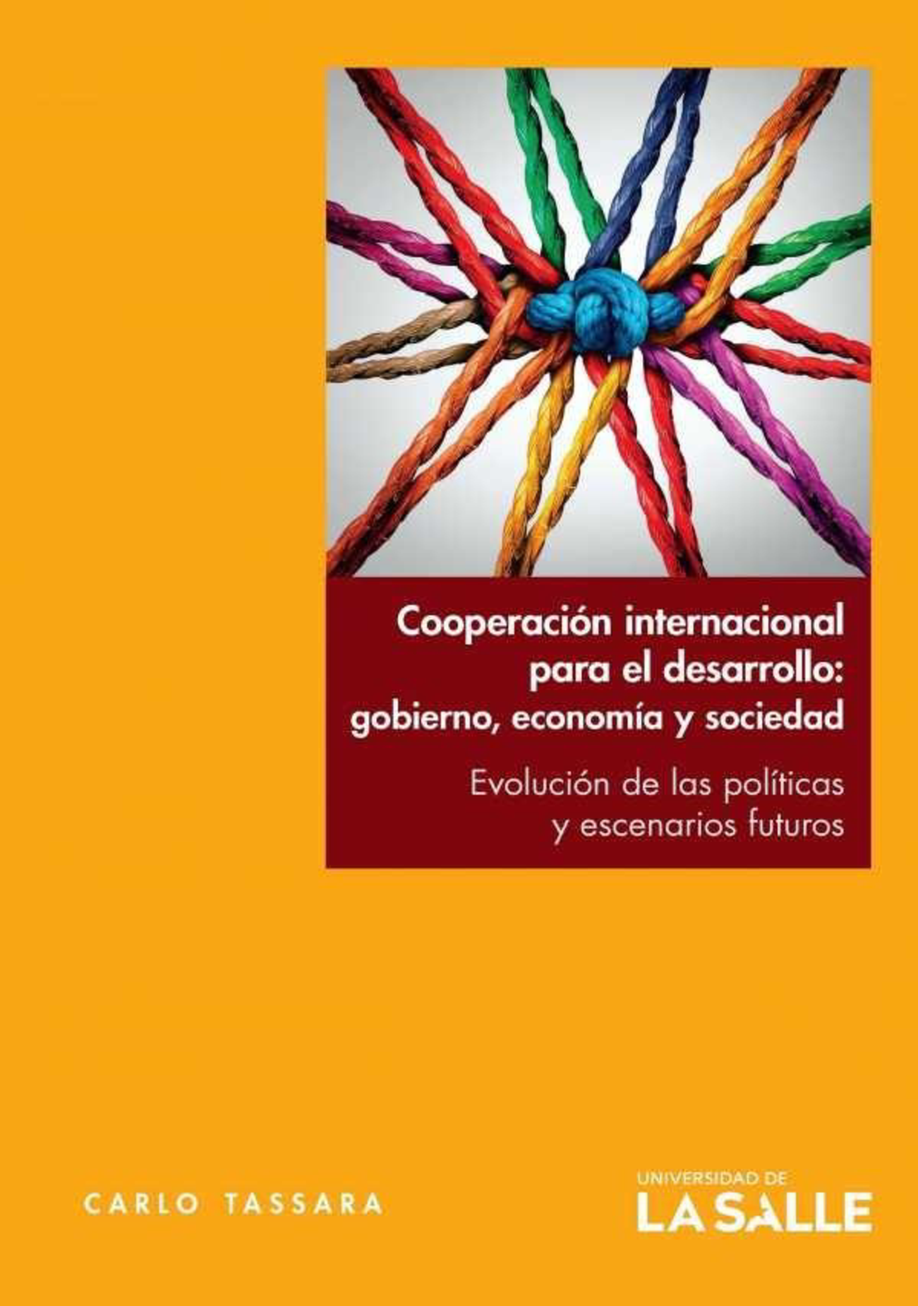 Cooperación internacional para el desarrollo: gobierno, economía y sociedad. Evolución de las políticas y escenarios futuros