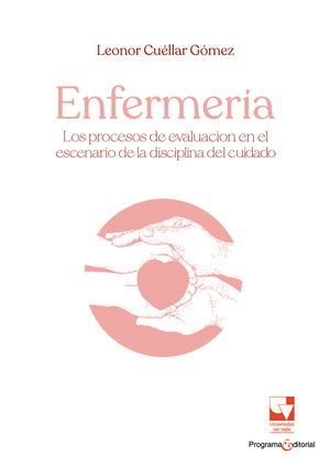 Enfermería: los procesos de evaluación en el escenario de la disciplina del cuidado