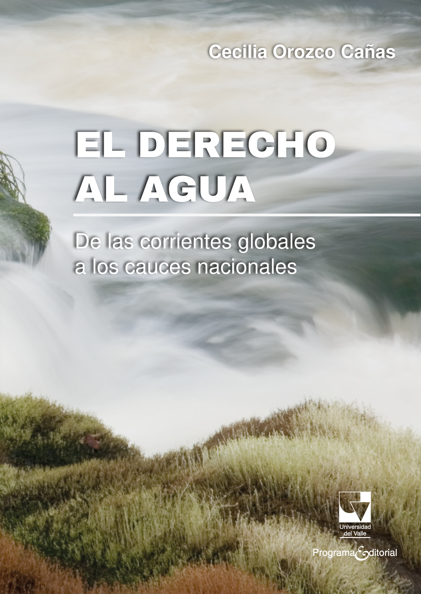 El derecho al agua: de las corrientes globales a los cauces Nacionales