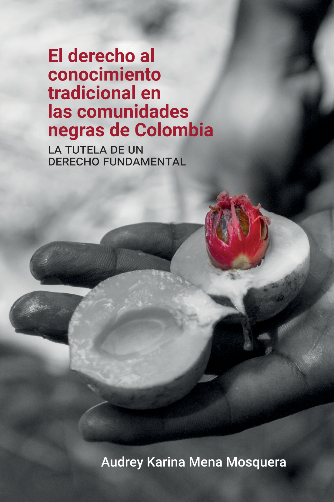 El derecho al conocimiento tradicional en las comunidades negras de Colombia: la tutela de un derecho fundamental